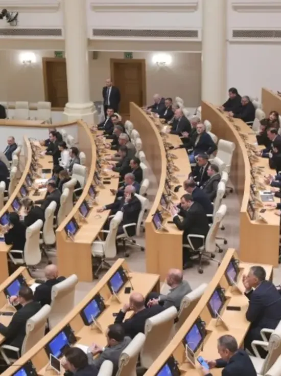 Парламент "Мечты" принял закон о финансировании НКО из бюджета в первом чтении